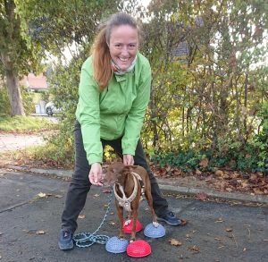 isometrische Übungen